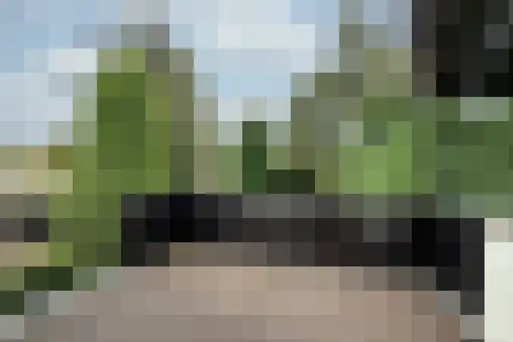Thorbeckelaan 25 Barneveld thumbnail 34