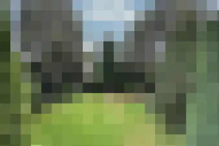 Thorbeckelaan 25 Barneveld thumbnail 35