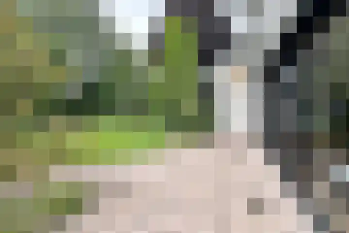 Thorbeckelaan 25 Barneveld thumbnail 36