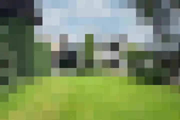 Thorbeckelaan 25 Barneveld thumbnail 37