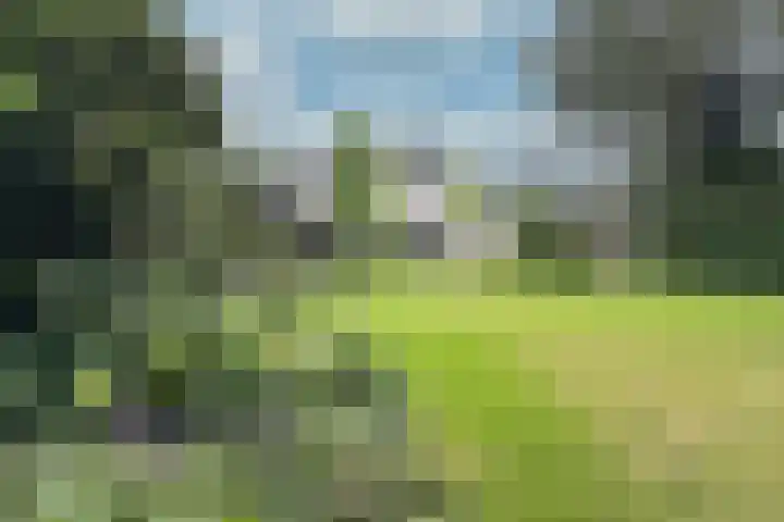 Thorbeckelaan 25 Barneveld thumbnail 38
