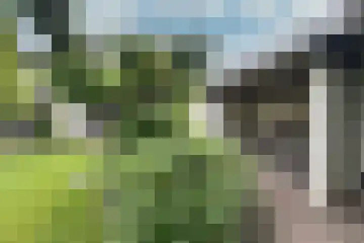 Thorbeckelaan 25 Barneveld thumbnail 39