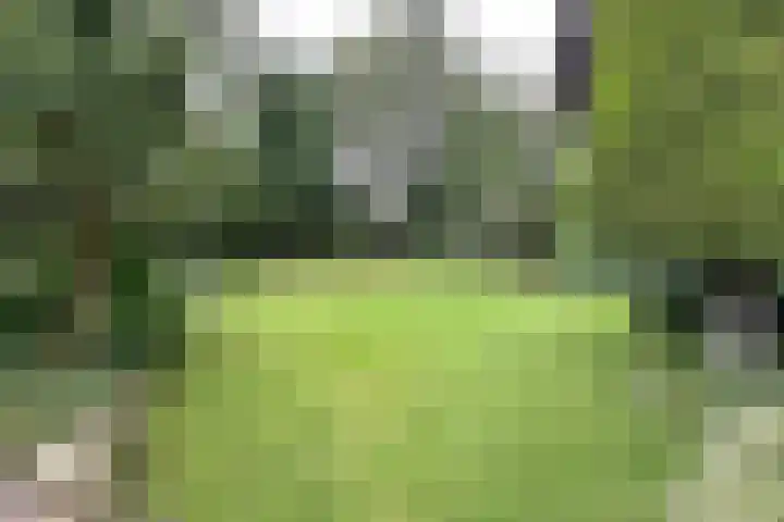 Thorbeckelaan 25 Barneveld thumbnail 40
