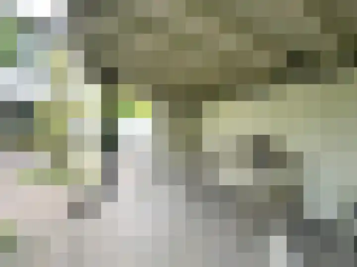 Thorbeckelaan 25 Barneveld thumbnail 42