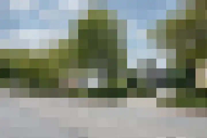 Thorbeckelaan 25 Barneveld thumbnail 44