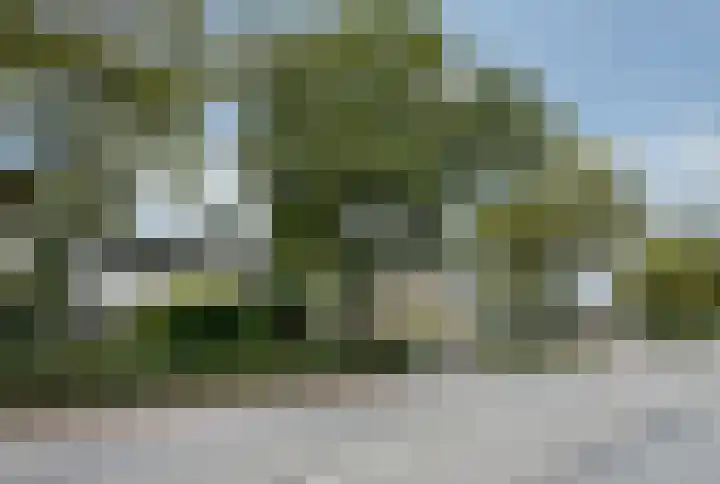 Thorbeckelaan 25 Barneveld thumbnail 6