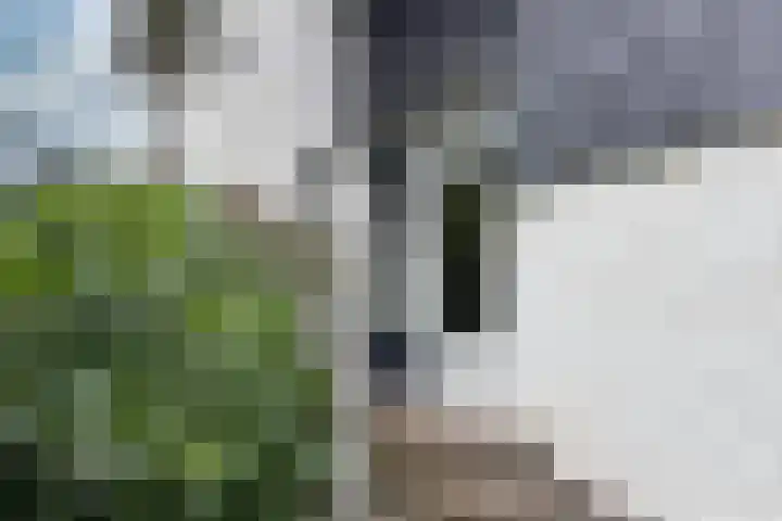Thorbeckelaan 25 Barneveld thumbnail 9
