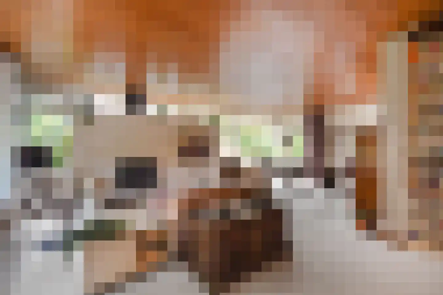 Thorbeckelaan 25 Groningen thumbnail 10