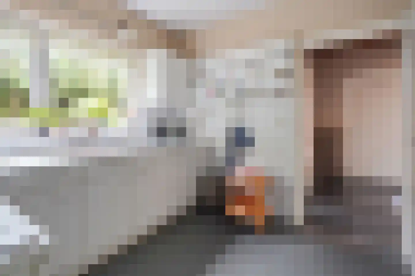 Thorbeckelaan 25 Groningen thumbnail 15