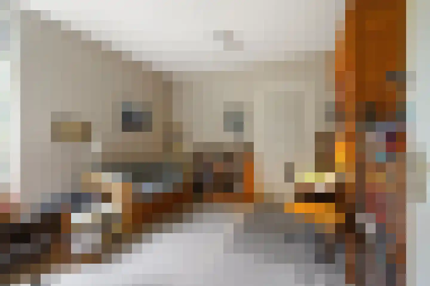 Thorbeckelaan 25 Groningen thumbnail 23