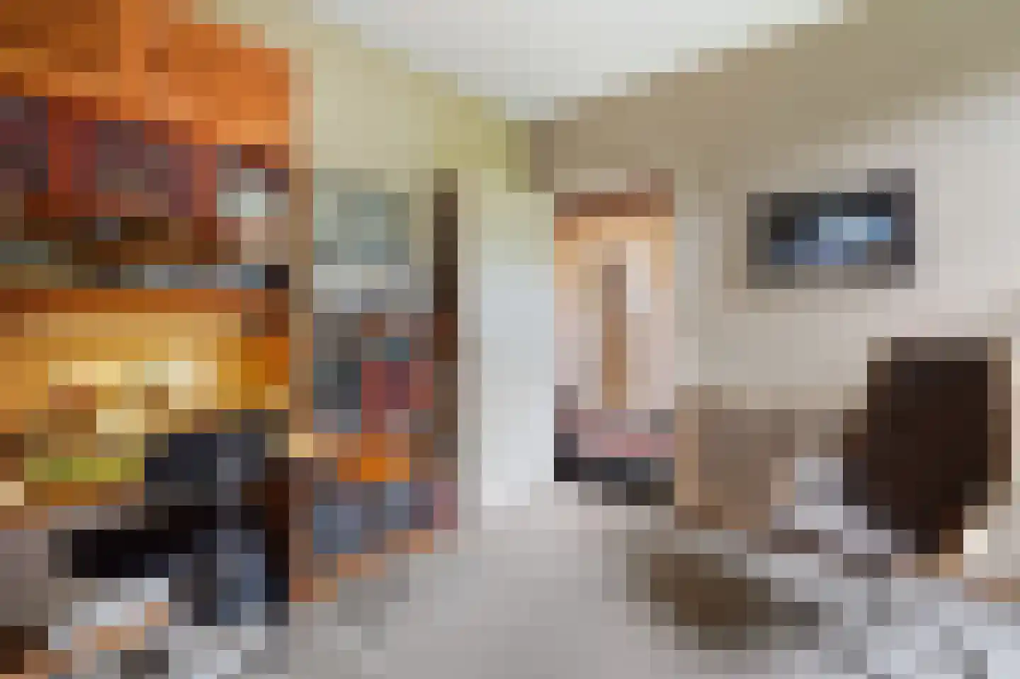 Thorbeckelaan 25 Groningen thumbnail 24
