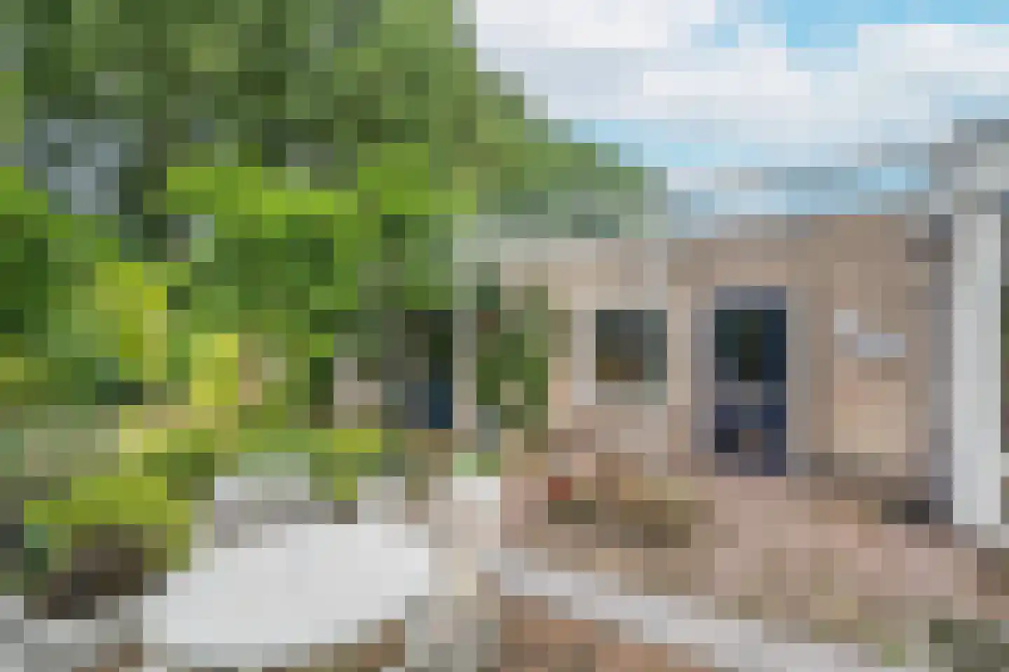 Thorbeckelaan 25 Groningen thumbnail 28