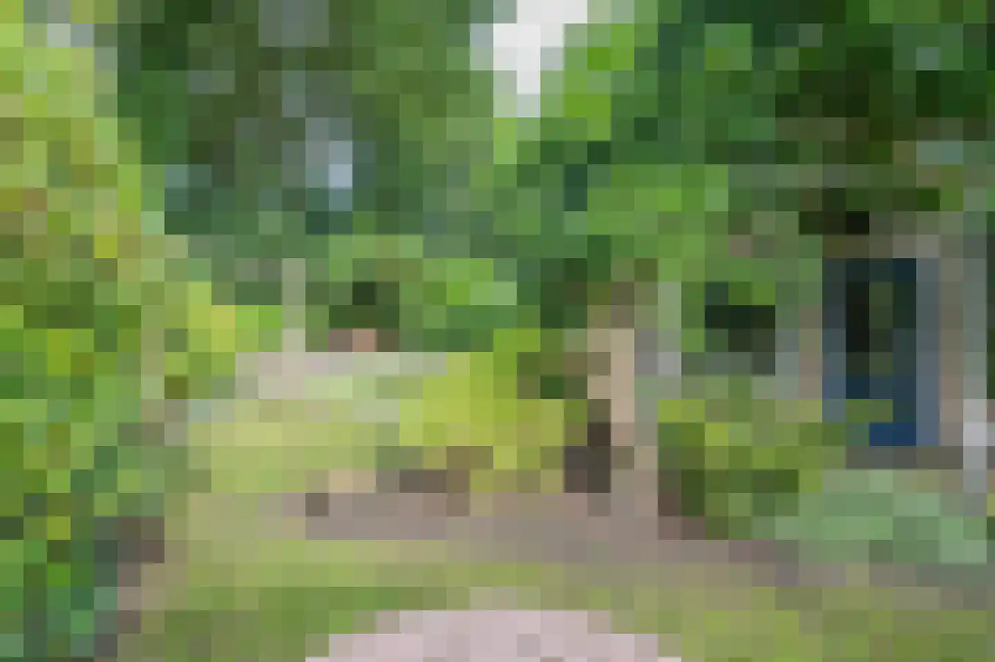 Thorbeckelaan 25 Groningen thumbnail 30