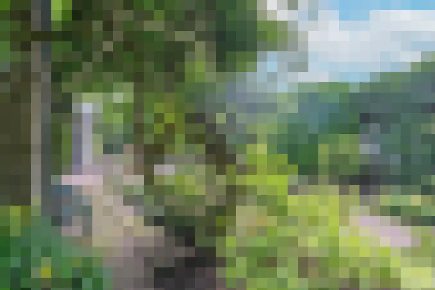 Thorbeckelaan 25 Groningen thumbnail 31