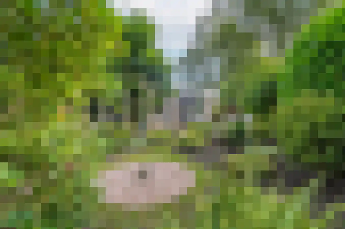 Thorbeckelaan 25 Groningen thumbnail 32