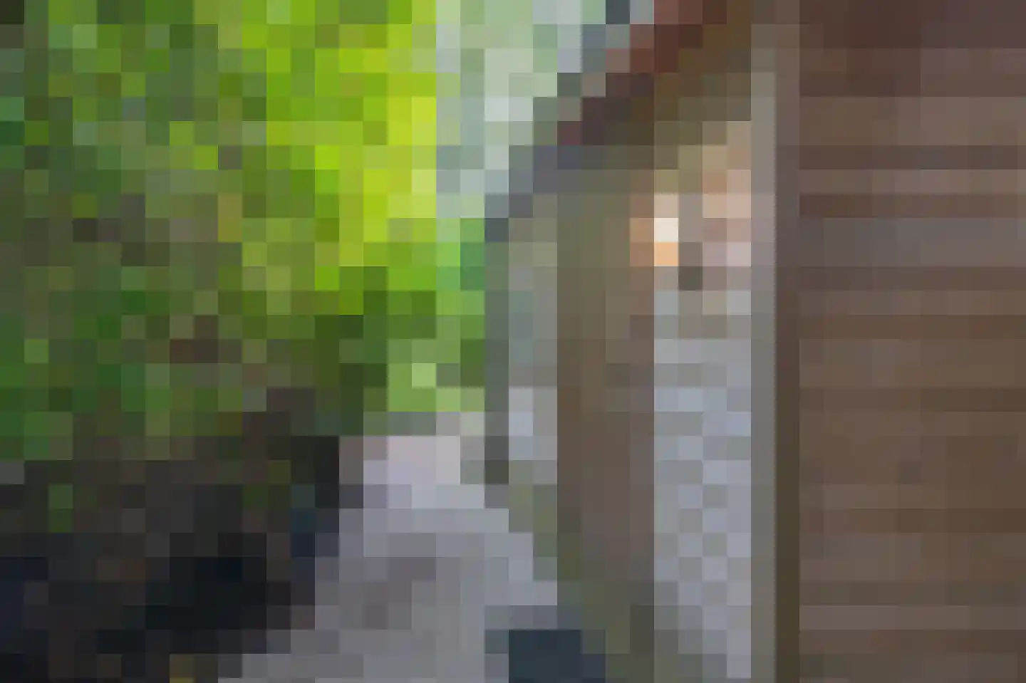 Thorbeckelaan 25 Groningen thumbnail 35