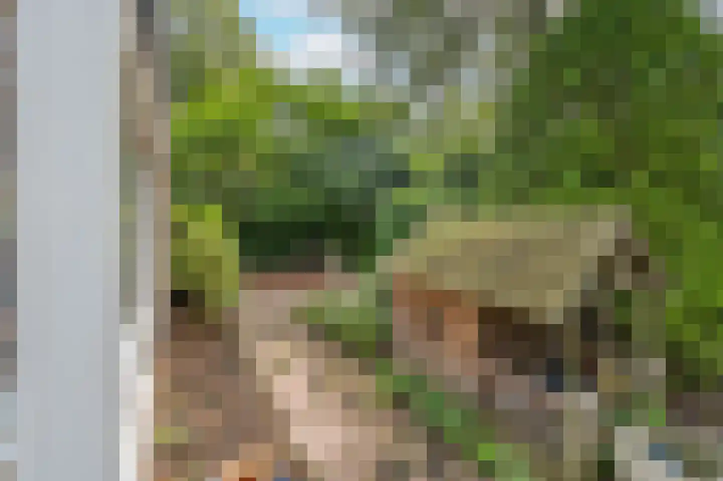 Thorbeckelaan 25 Groningen thumbnail 36