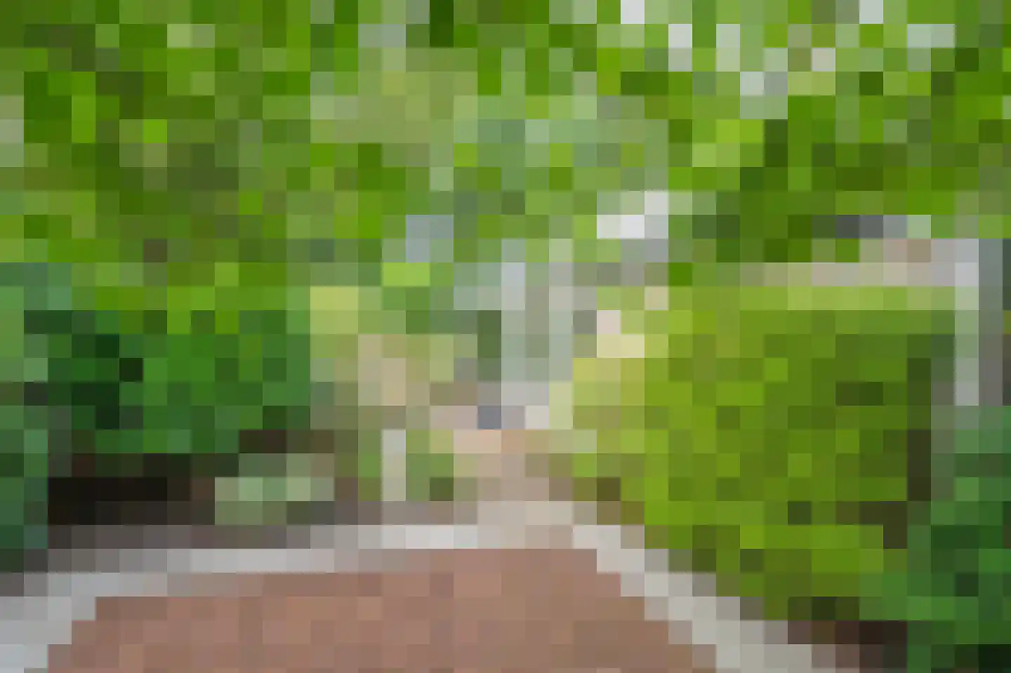 Thorbeckelaan 25 Groningen thumbnail 37
