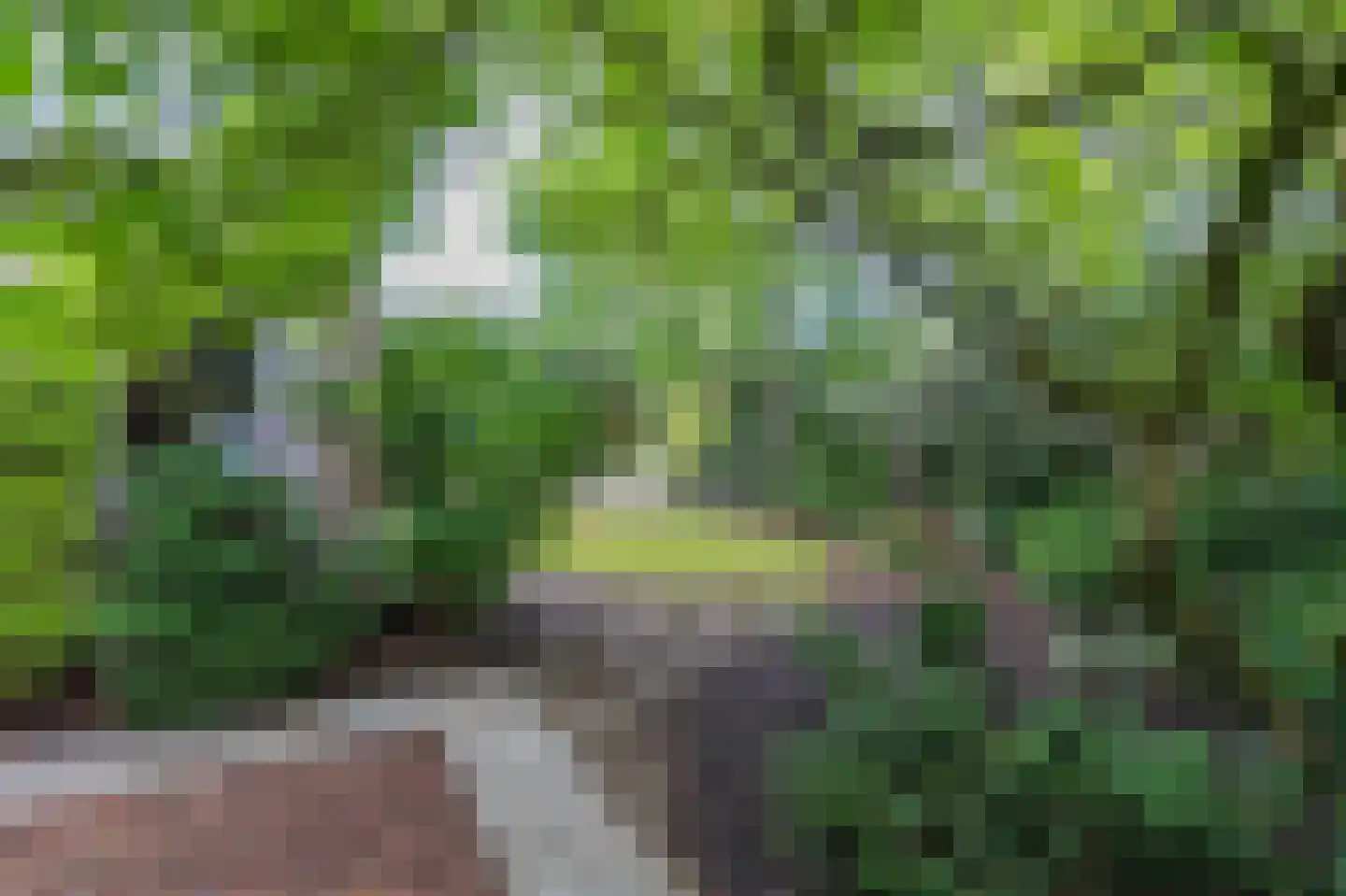 Thorbeckelaan 25 Groningen thumbnail 38