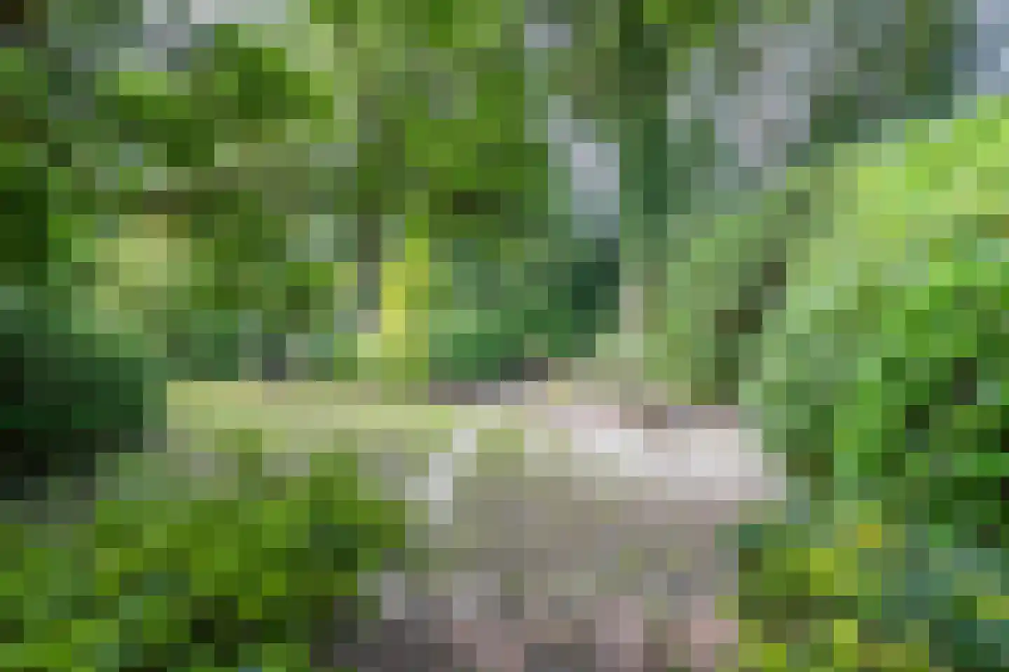 Thorbeckelaan 25 Groningen thumbnail 39