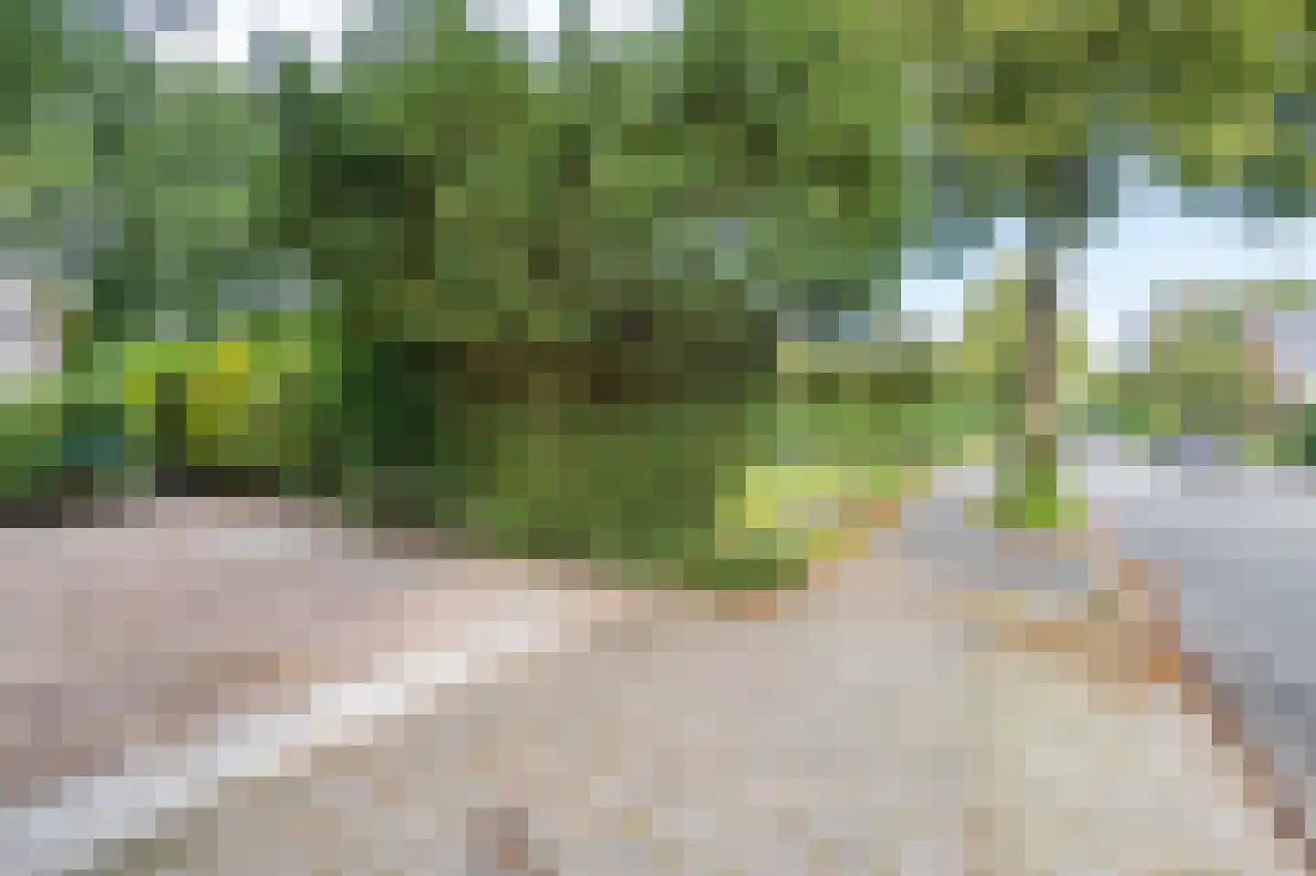 Thorbeckelaan 25 Groningen thumbnail 4