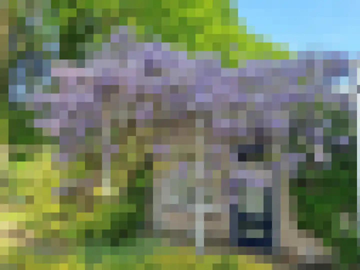 Thorbeckelaan 25 Groningen thumbnail 40