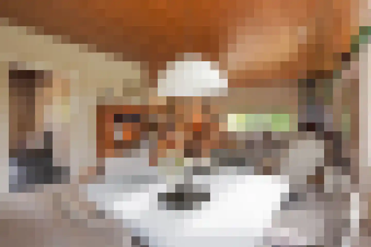 Thorbeckelaan 25 Groningen thumbnail 7