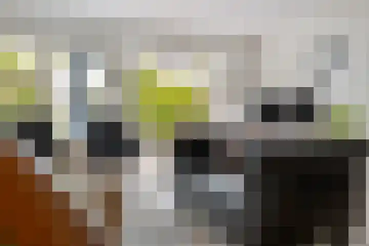 Thorbeckelaan 27 Goes thumbnail 14