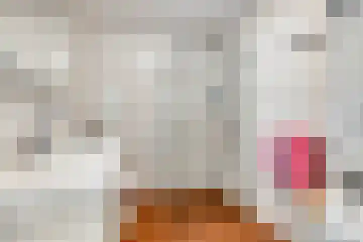 Thorbeckelaan 27 Goes thumbnail 18
