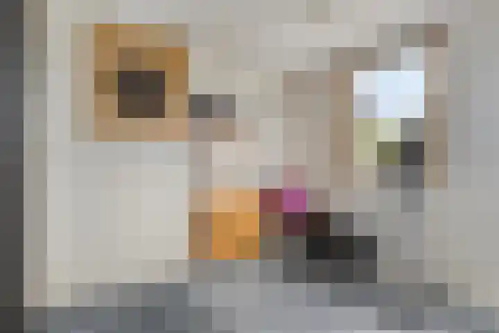 Thorbeckelaan 27 Goes thumbnail 25