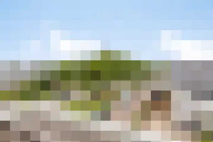 Thorbeckelaan 27 Goes thumbnail 29