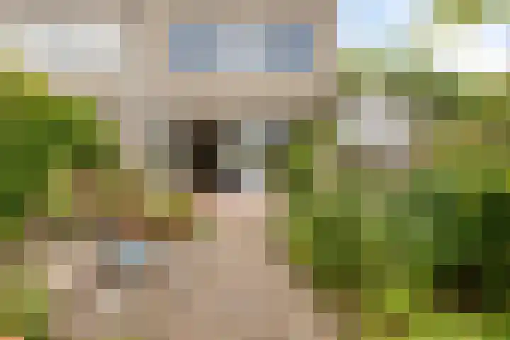 Thorbeckelaan 27 Goes thumbnail 32