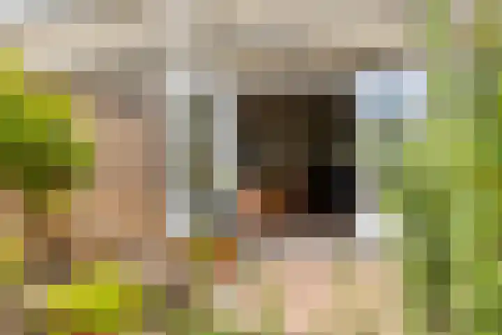 Thorbeckelaan 27 Goes thumbnail 33