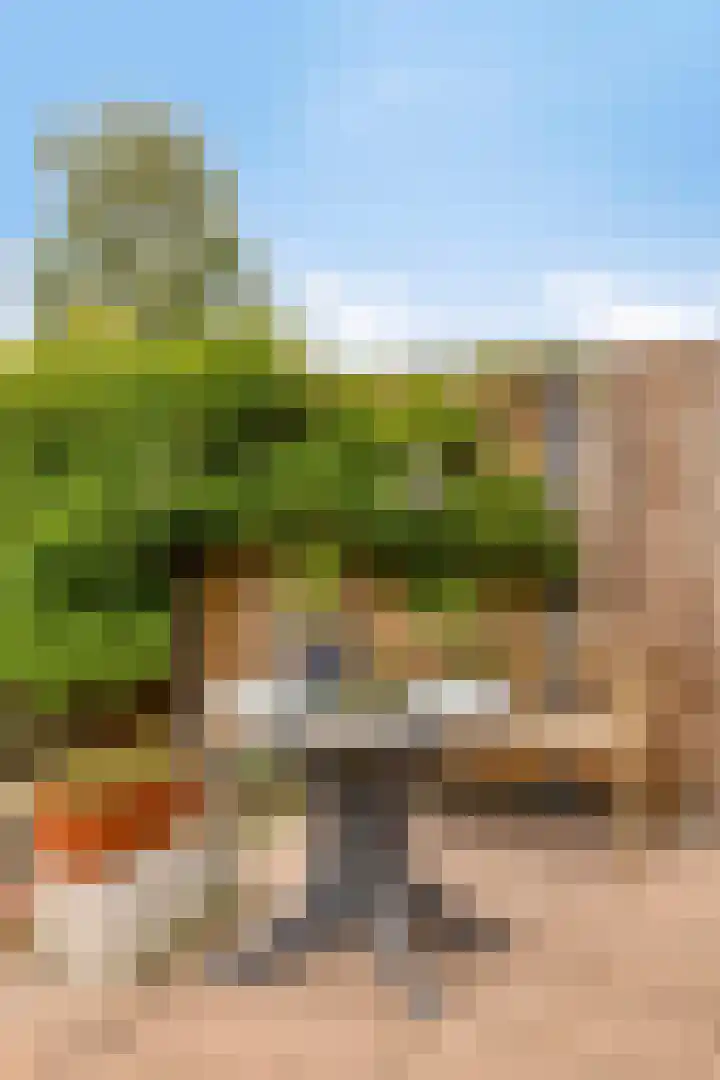 Thorbeckelaan 27 Goes thumbnail 35