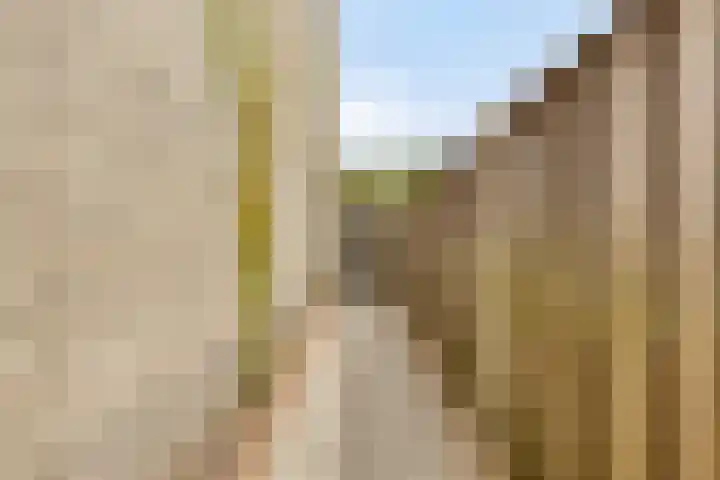 Thorbeckelaan 27 Goes thumbnail 36