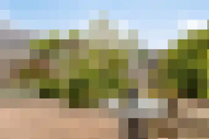 Thorbeckelaan 27 Goes thumbnail 37