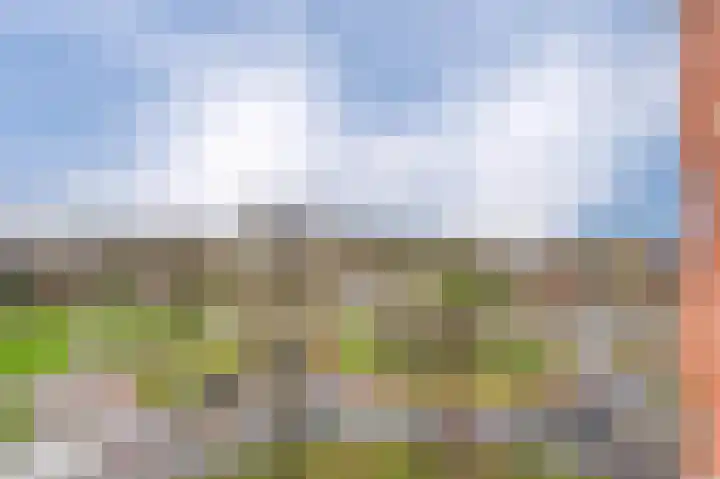 Thorbeckelaan 275 Assen thumbnail 28
