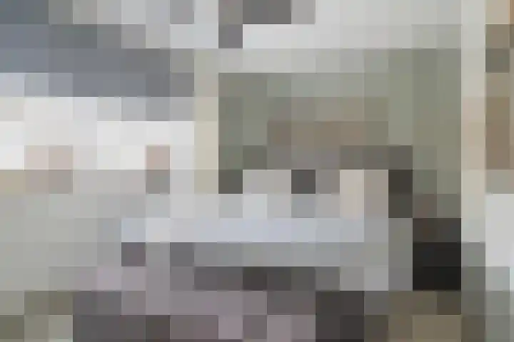 Thorbeckelaan 28 Roosendaal thumbnail 16