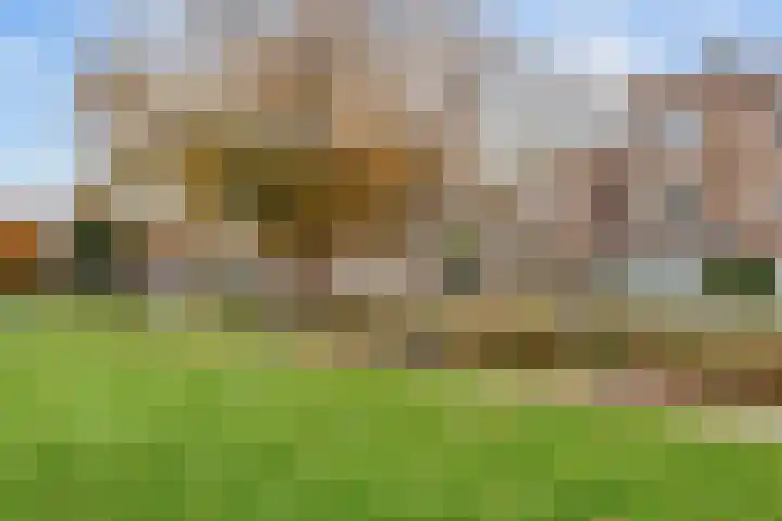 Thorbeckelaan 282 Den Haag thumbnail 43