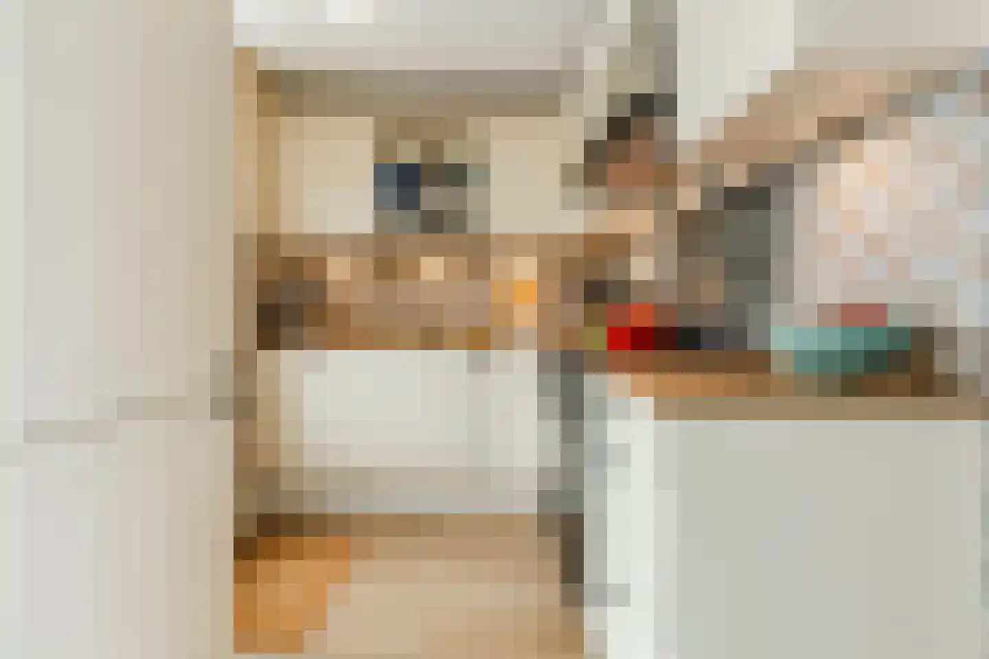 Thorbeckelaan 29 Dongen thumbnail 15