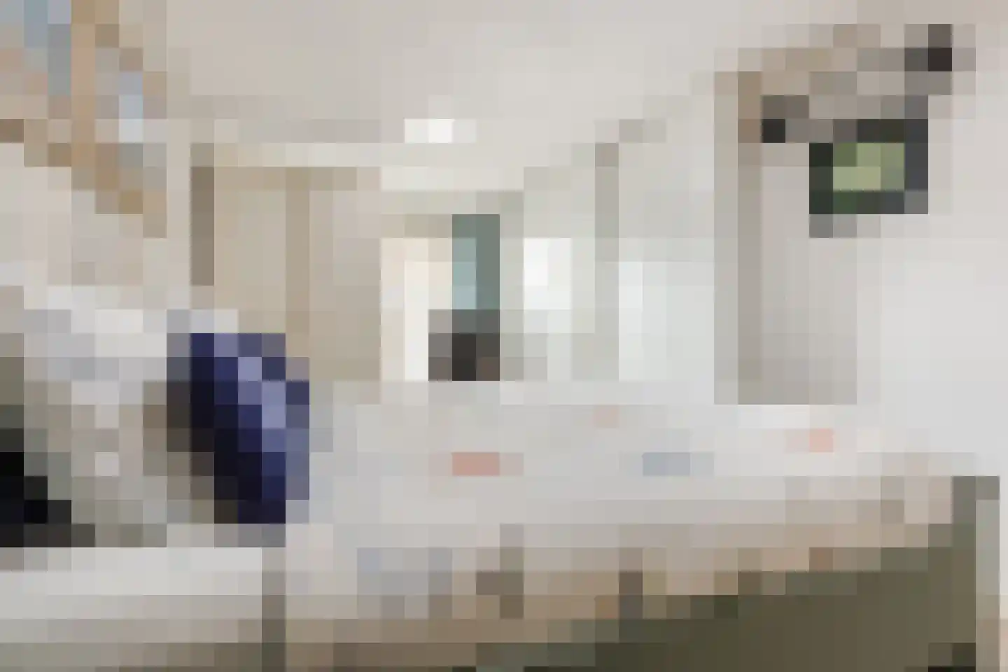 Thorbeckelaan 29 Dongen thumbnail 21