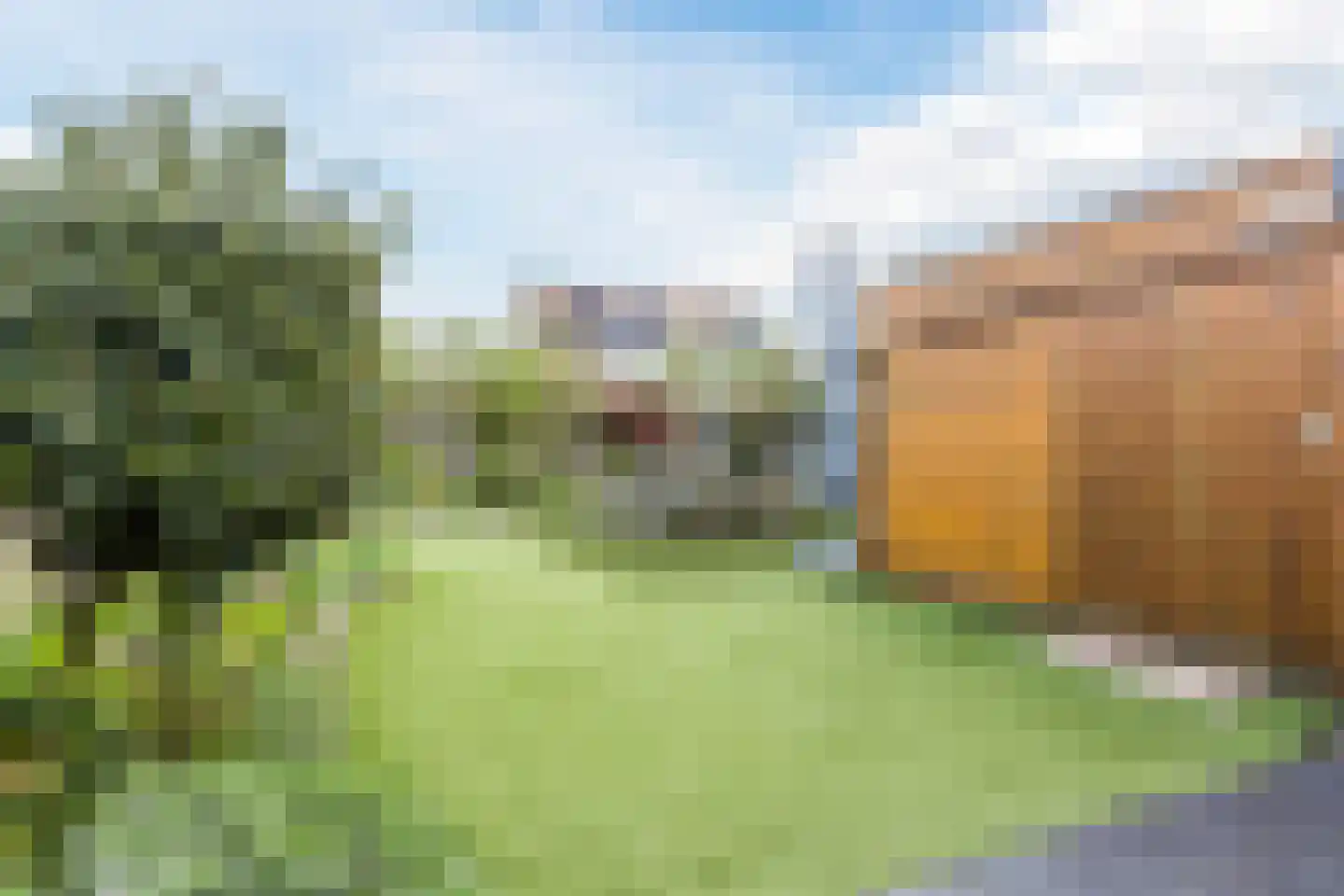 Thorbeckelaan 29 Dongen thumbnail 28