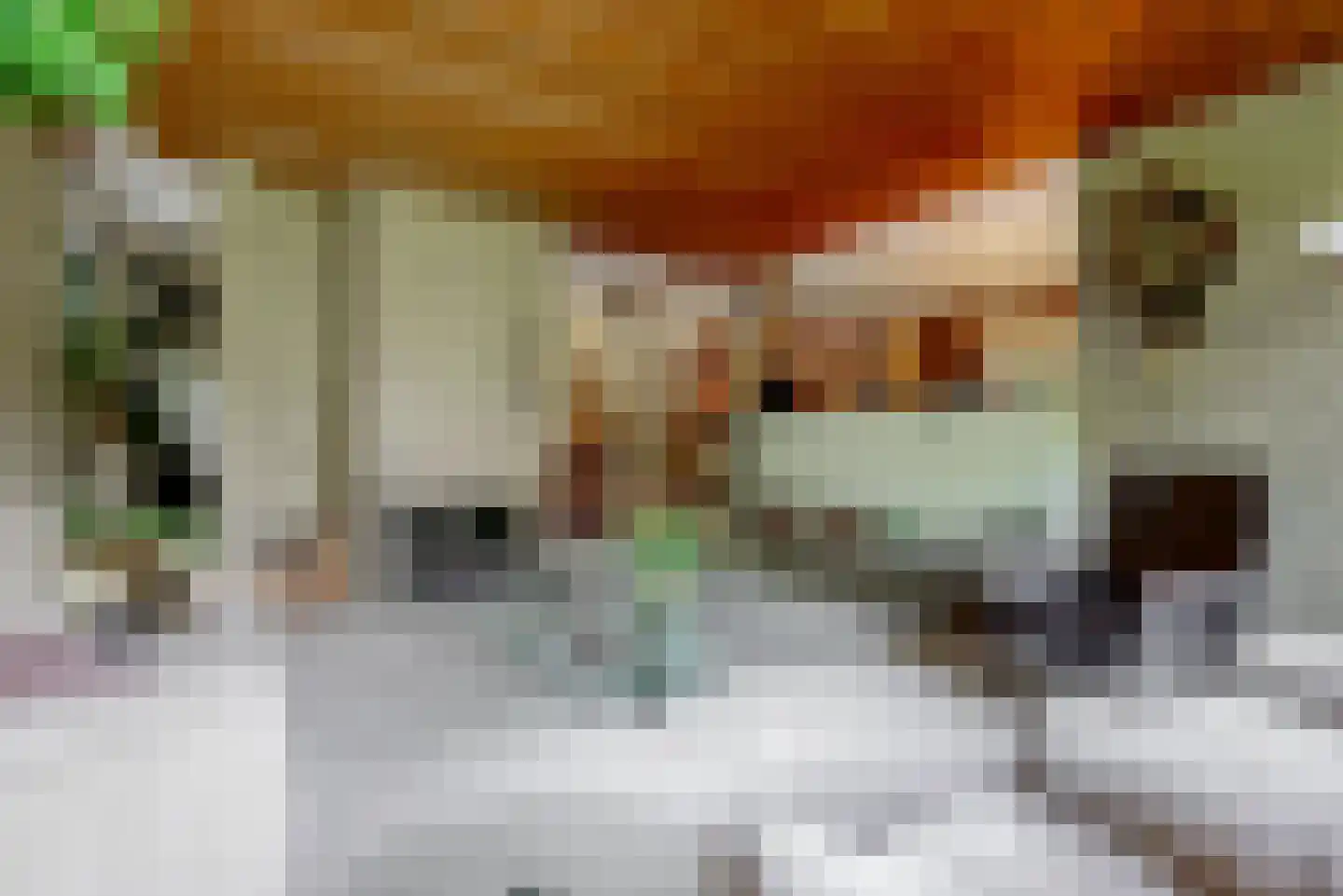 Thorbeckelaan 3 Maarssen thumbnail 12