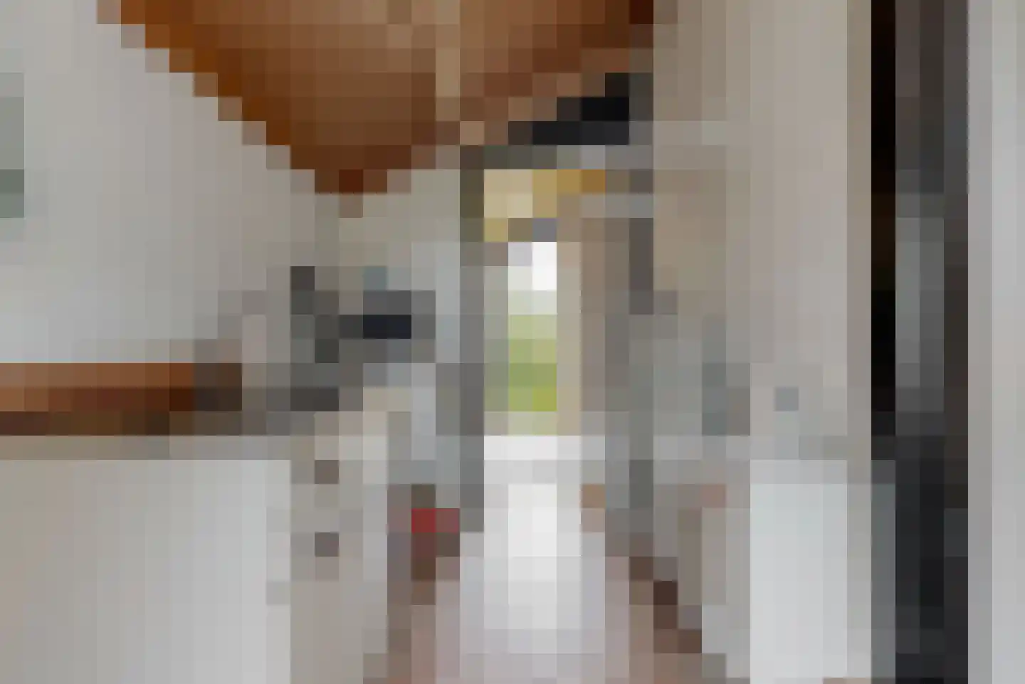 Thorbeckelaan 3 Maarssen thumbnail 24