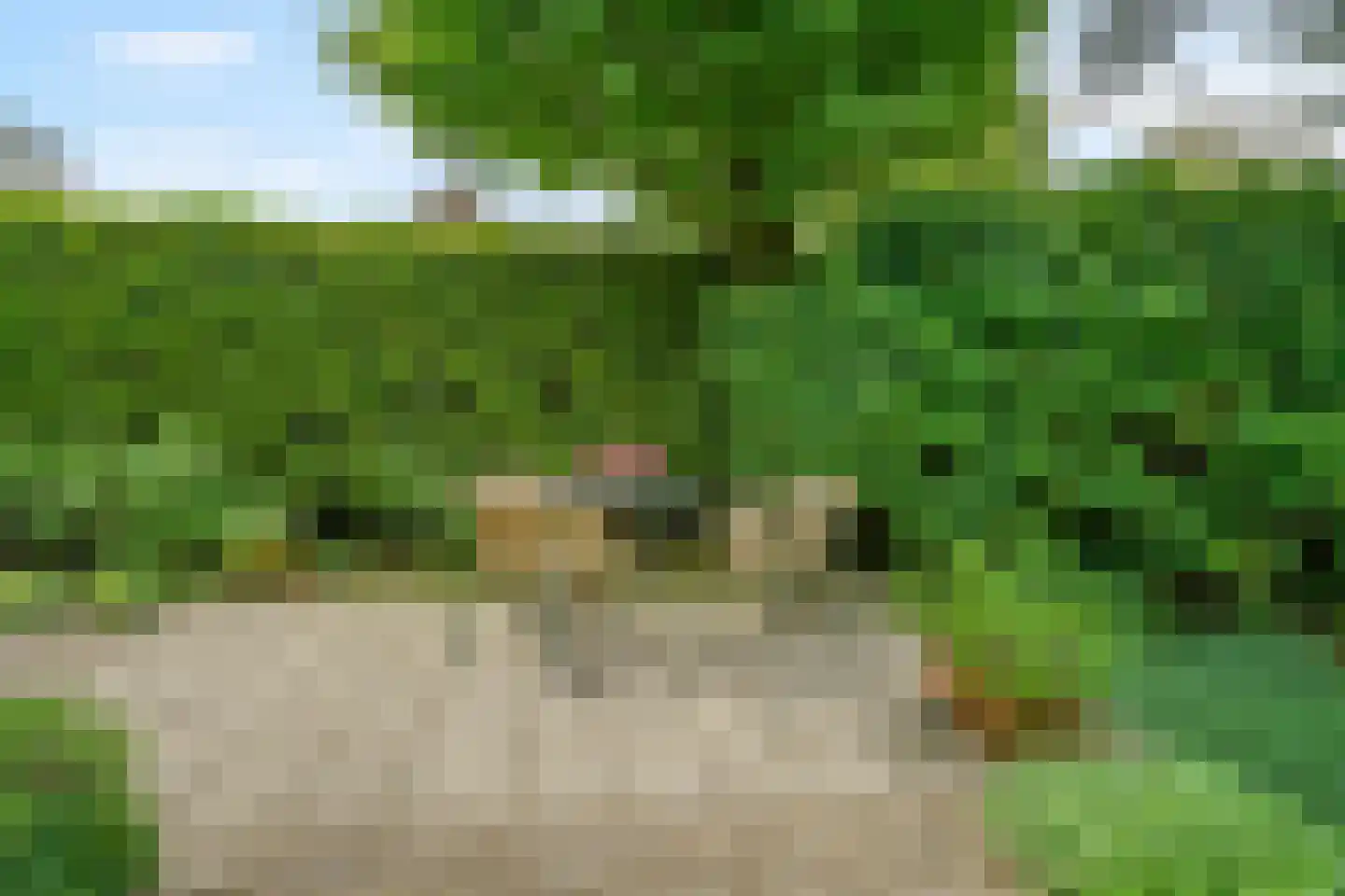 Thorbeckelaan 3 Maarssen thumbnail 27