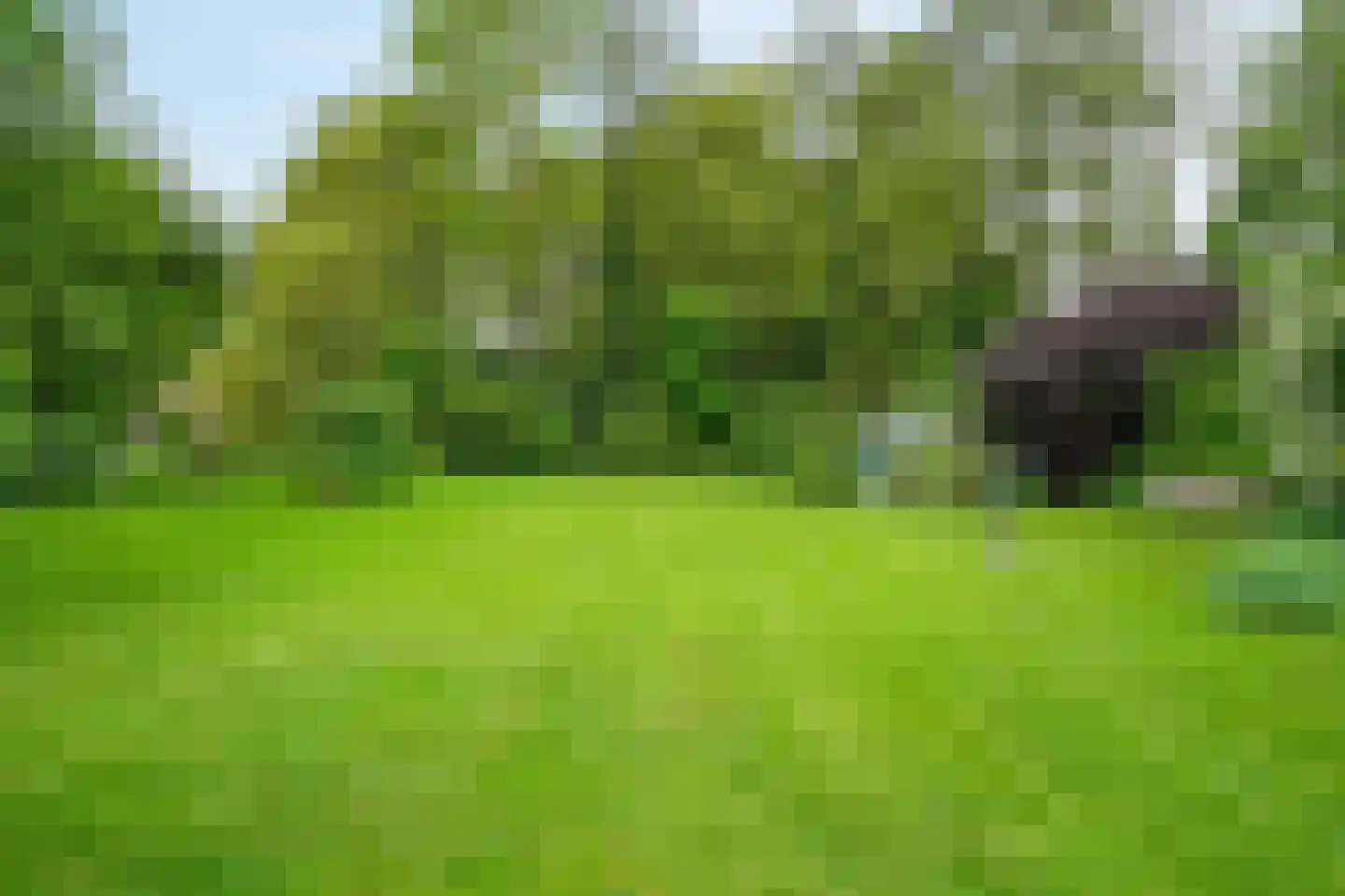 Thorbeckelaan 3 Maarssen thumbnail 32