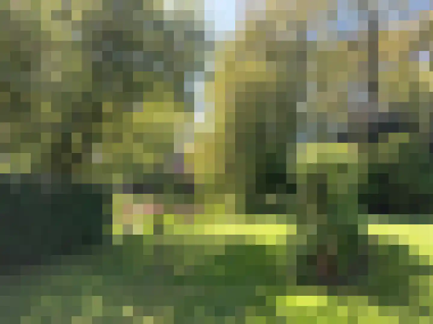 Thorbeckelaan 3 Maarssen thumbnail 33