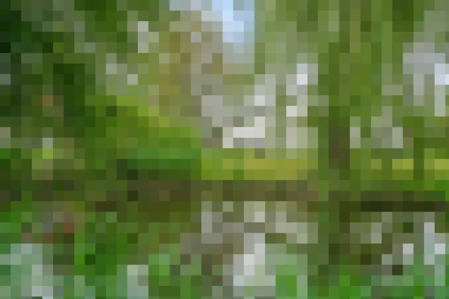 Thorbeckelaan 3 Maarssen thumbnail 34