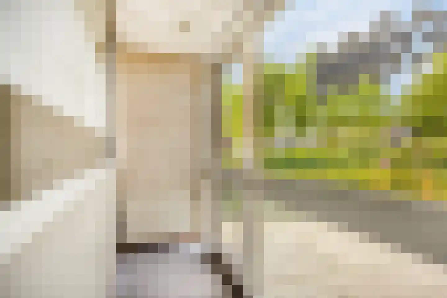 Thorbeckelaan 31 Barneveld thumbnail 31