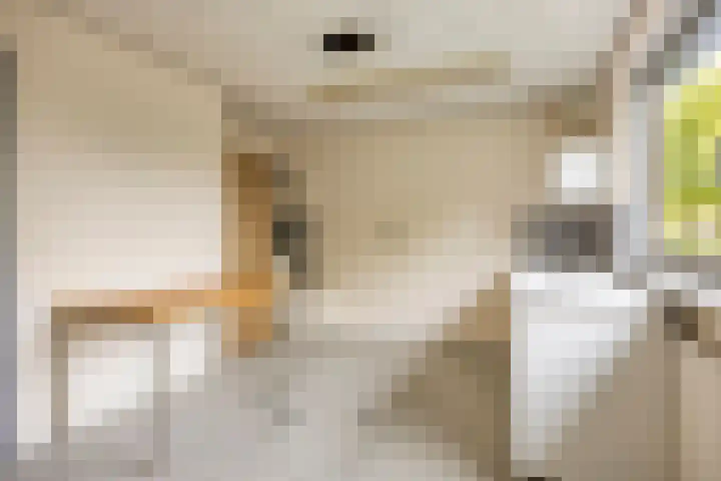 Thorbeckelaan 31 Barneveld thumbnail 37